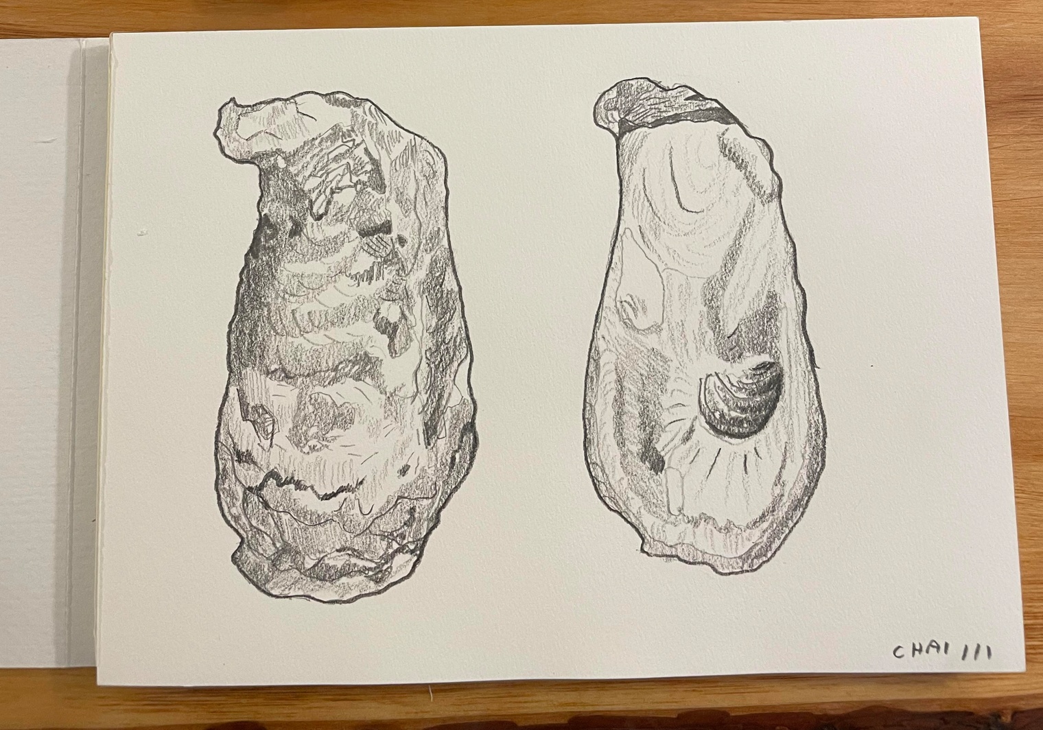 January 2024: Oysters