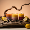 Load image into Gallery viewer, Summer Citrus Set
